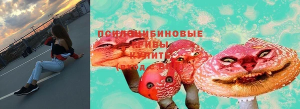 дживик Баксан