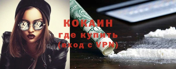 дживик Баксан